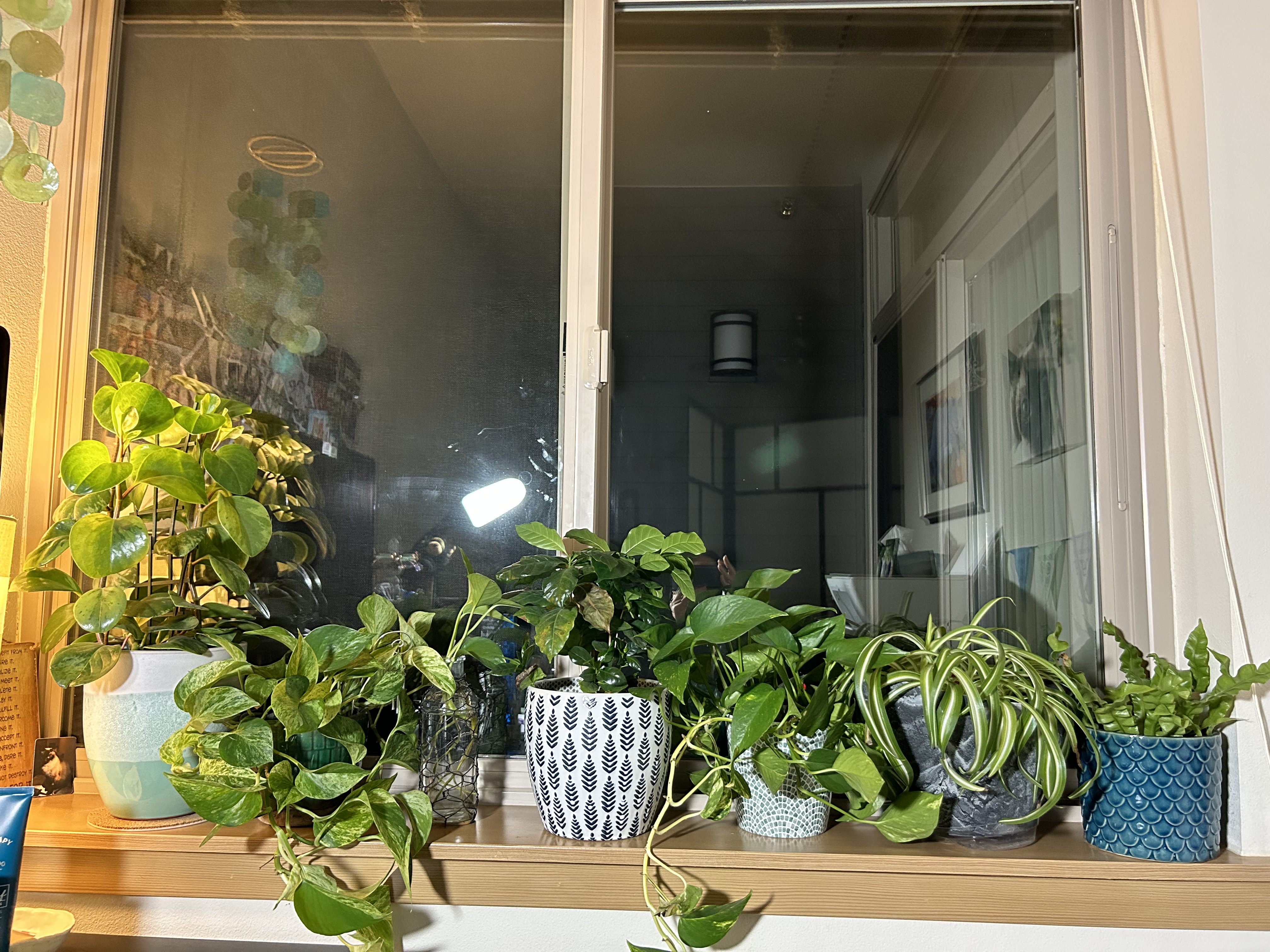 Hump Day Happiness… Welcome to the Jungle