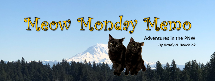 02/24/2025 Issue #248